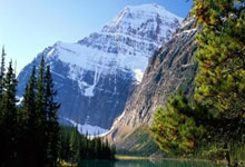 世预赛排行榜是如何影响球队晋级之路的?